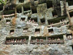 Toraja